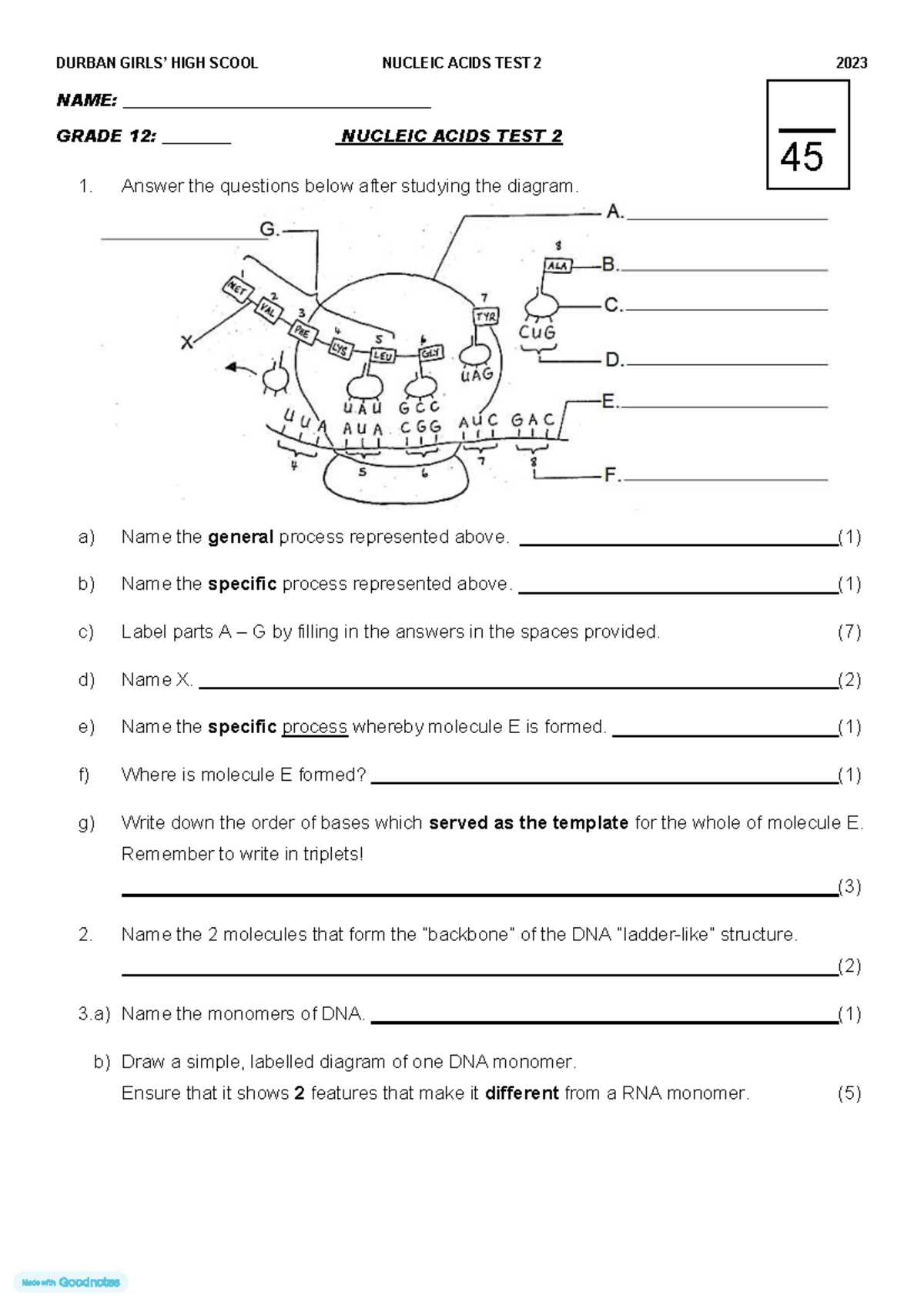 Grade 12 Nucleic Acids Test 2 - Durban High School 2023 - Studocu