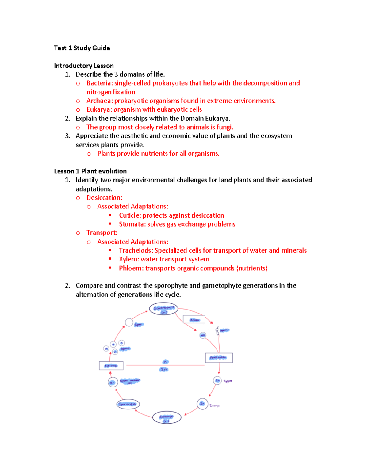 BIOL 1106 Test 1 Study Guide: Plant Structure, Nutrition, and Growth ...