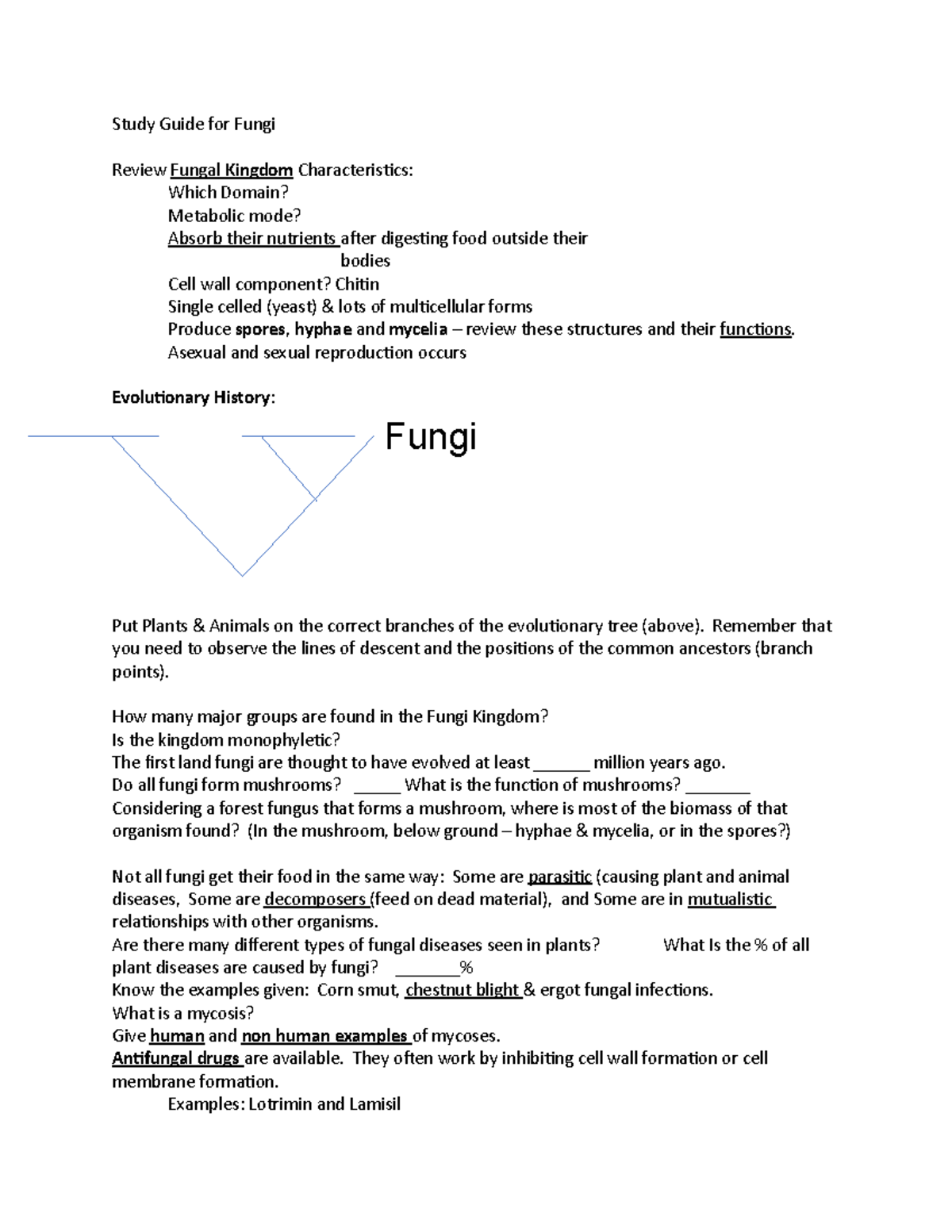 BIO 102 Final Exam Study Guide: Key Concepts of Fungi - Studocu