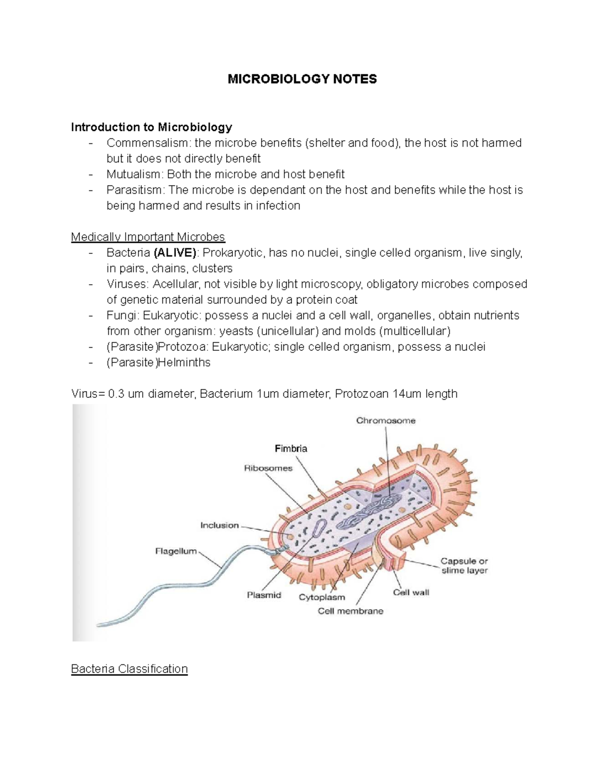 MICROBIOLOGY 101: Comprehensive Notes on Microbial Interactions and ...