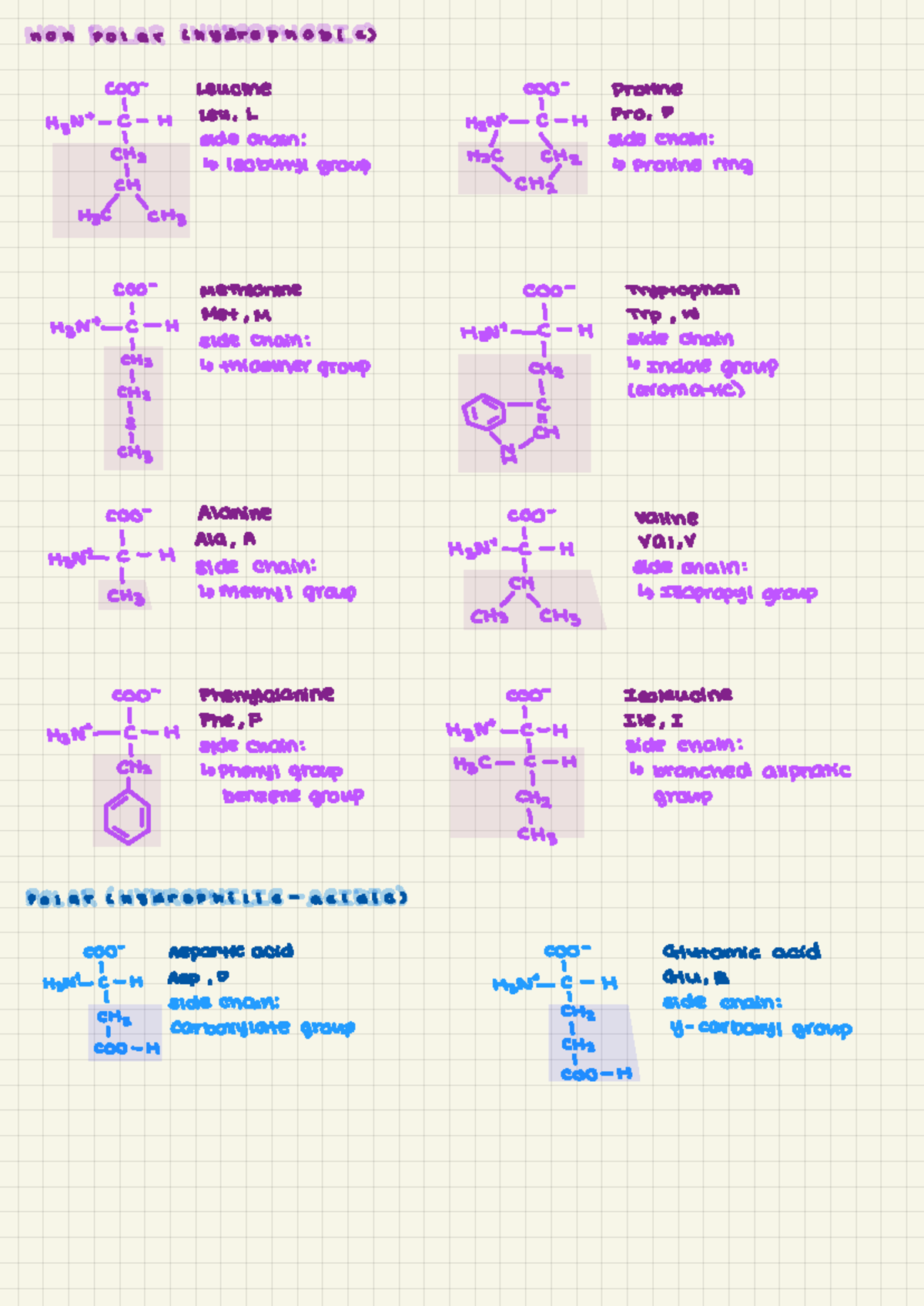 Amino Acids Overview: Key Structures and Side Chains - Studocu