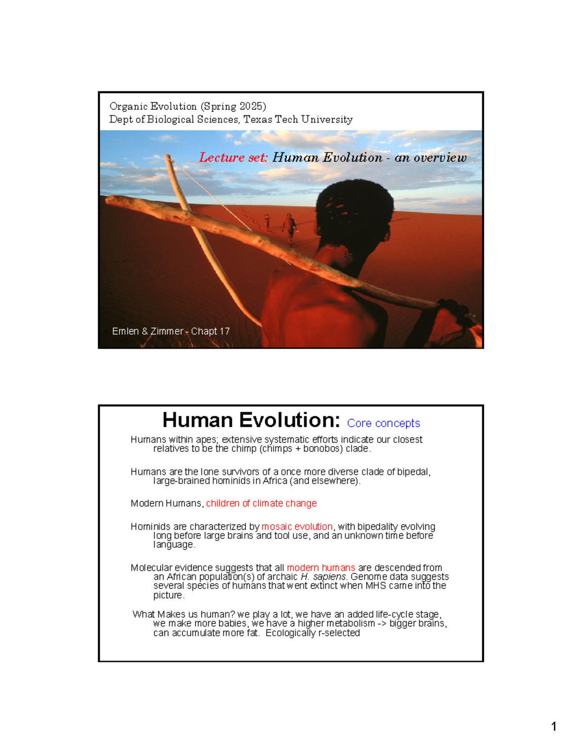 Human Evolution Overview: Key Concepts and Fossil Evidence (BIO 101 ...