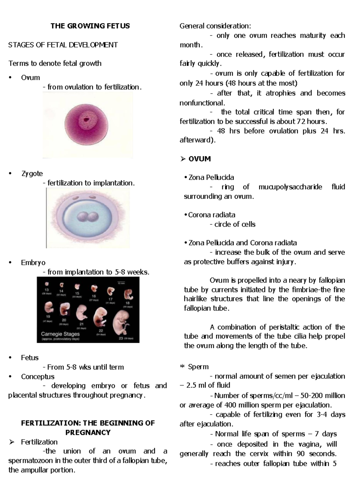 Maternal Midterm-1: Stages of Fetal Development and Growth - Studocu