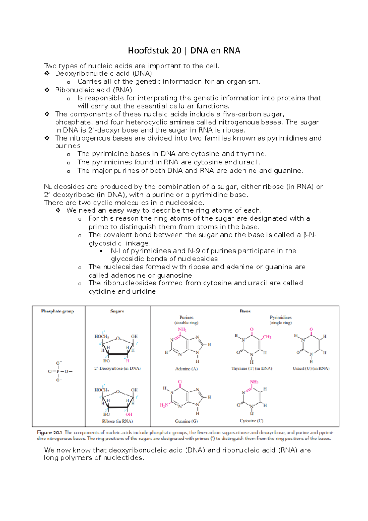 H20 BCT - Hoofdstuk 20: DNA en RNA in Organic and Biochemistry ...