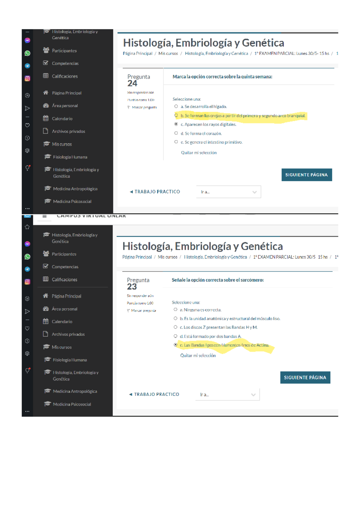 Examen Parcial 2022 - Histología, Embriología y Genética - Preguntas Clave - Document Preview