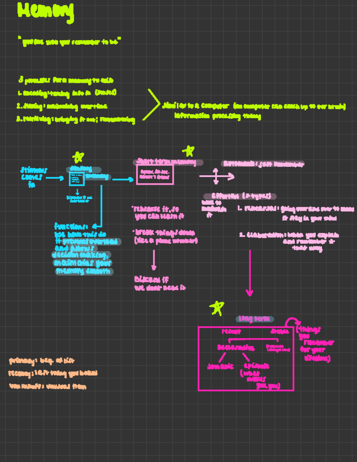 Psychology Notes for Final Exam: Memory & Theories Overview - Studocu