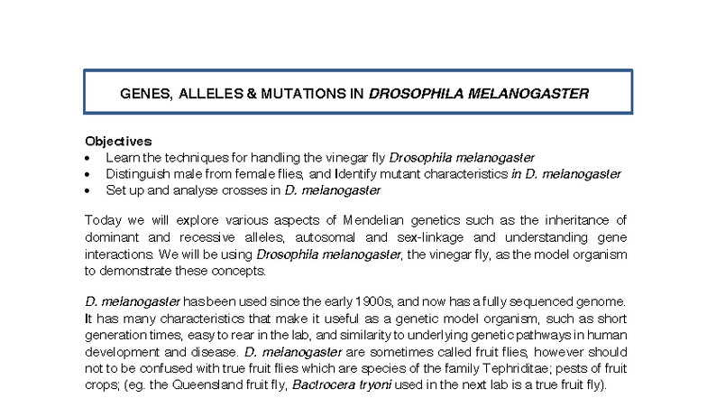 GENE 101: Genes, Alleles, and Mutations in Drosophila Melanogaster ...
