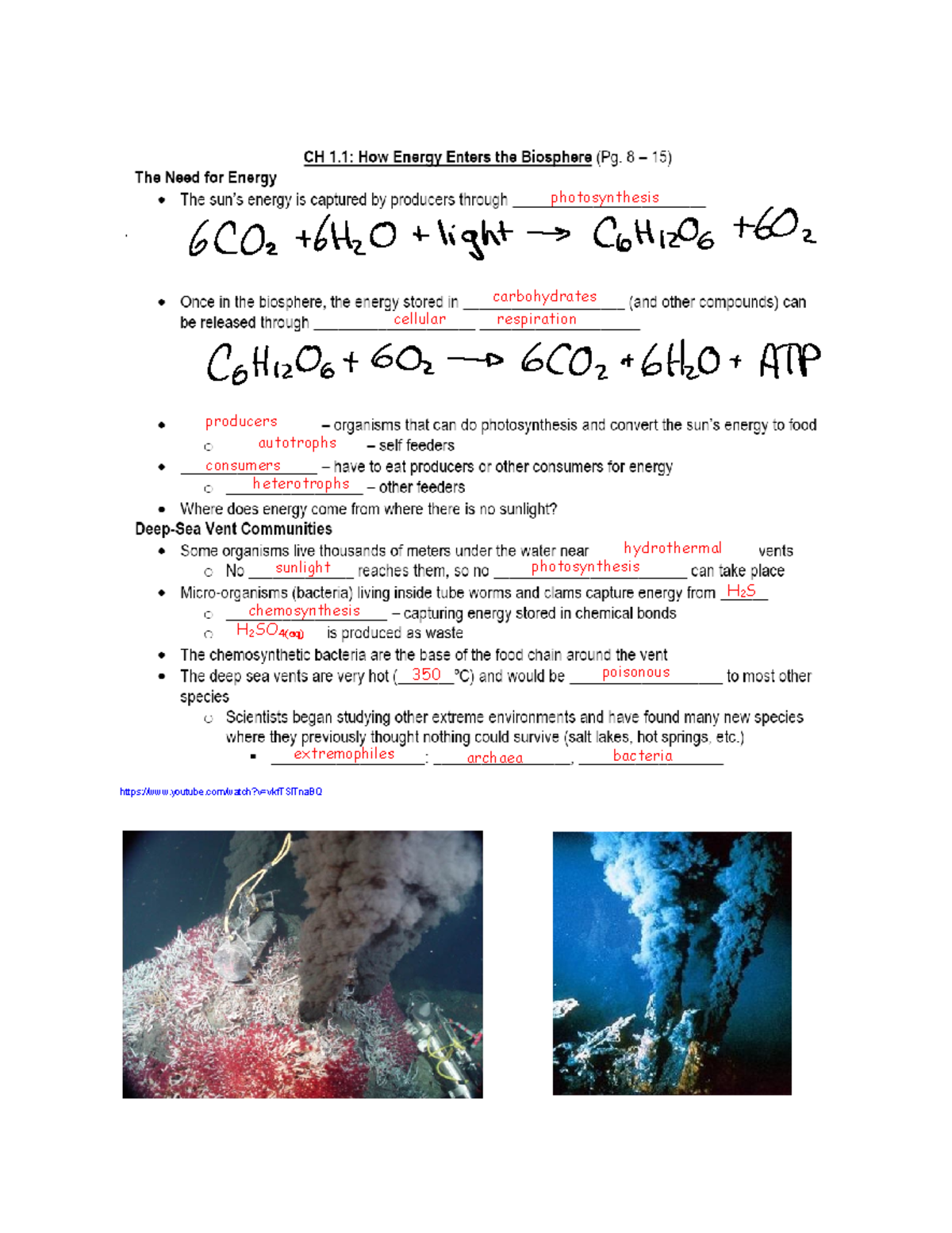 Biology Lecture Notes: Photosynthesis and Cellular Respiration Concepts ...
