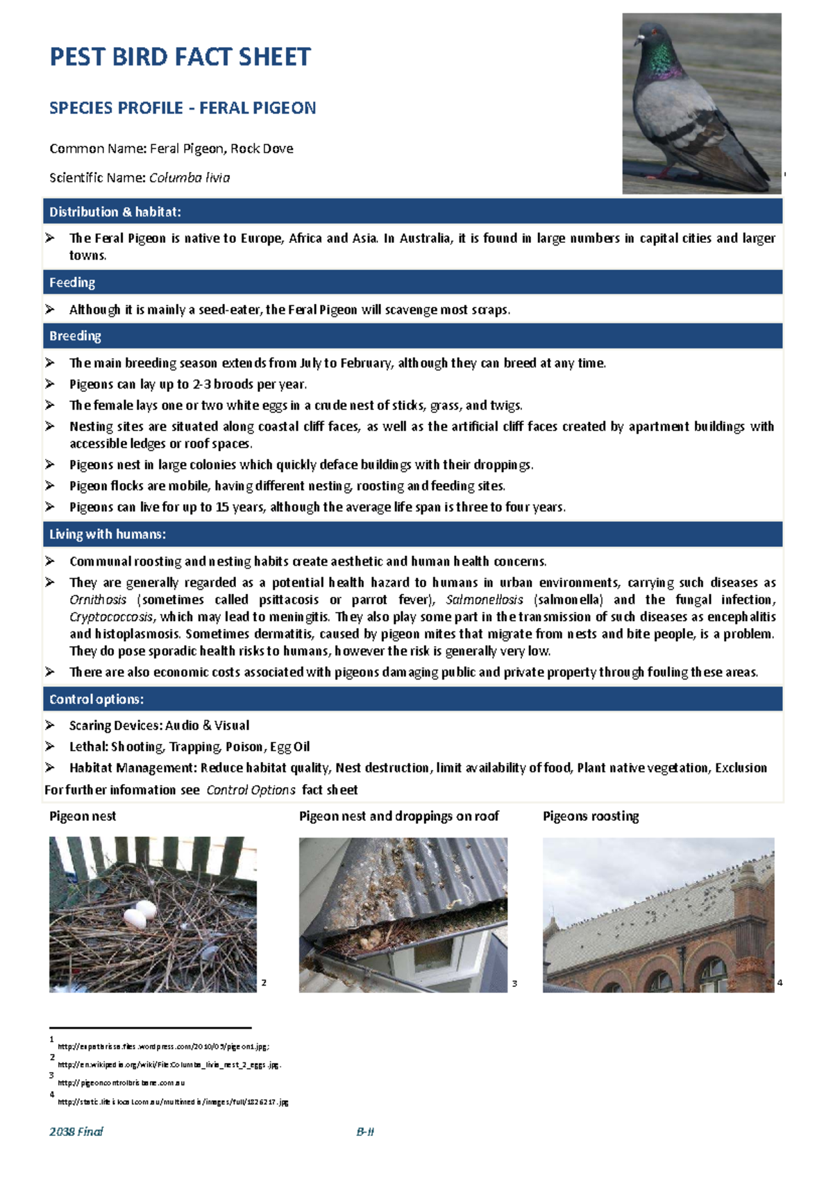 pest-bird-fact-sheet-feral-pigeon-control-options-789-studocu
