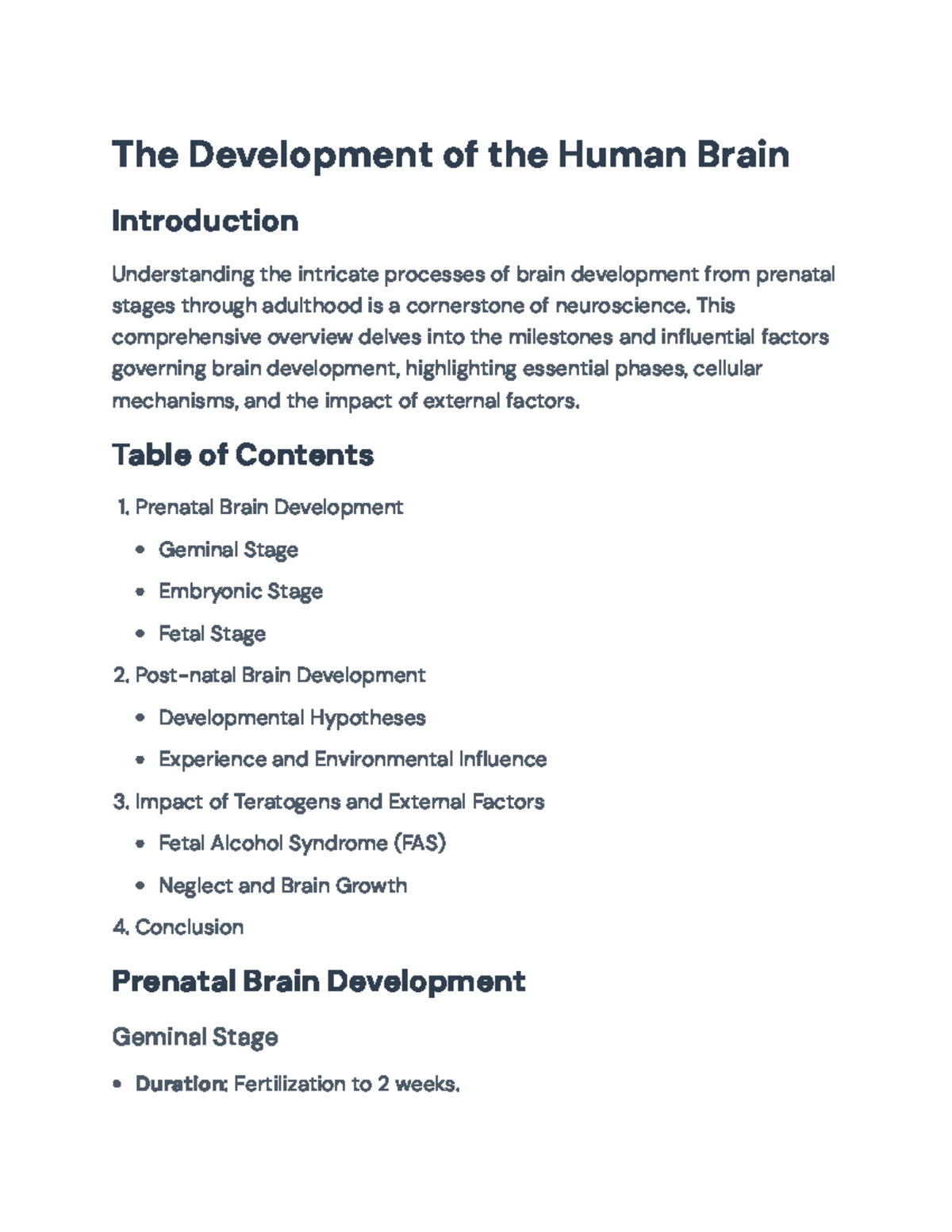 The Development of the Human Brain: Stages and Influences Explained ...