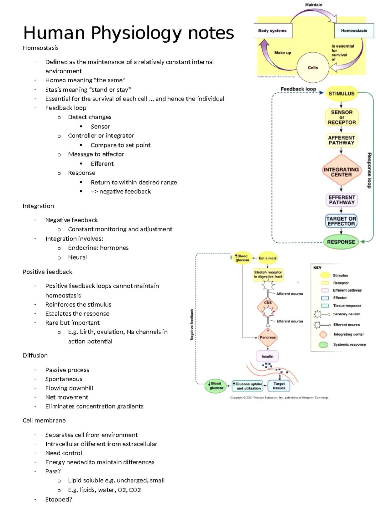 Human Physiology Notes: Homeostasis and Membrane Potential Concepts ...
