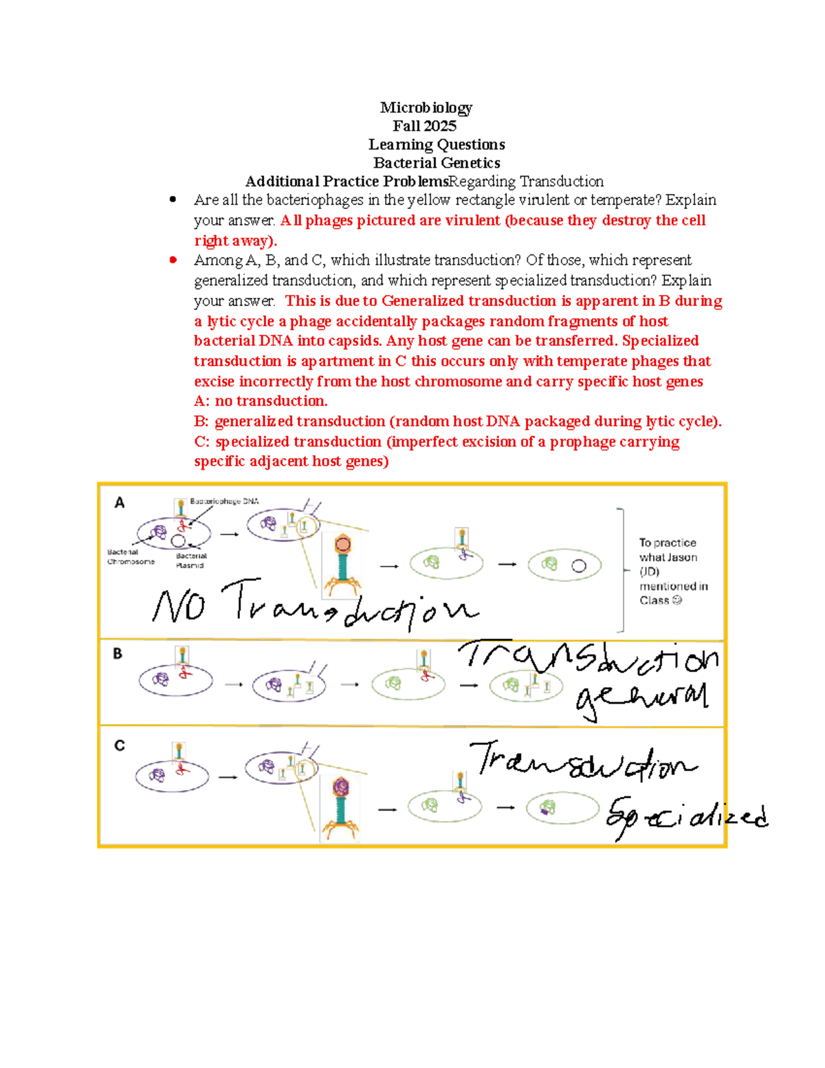 Microbiology 5.2 & 6: Bacterial Genetics & Applied Microbiology Q&A ...