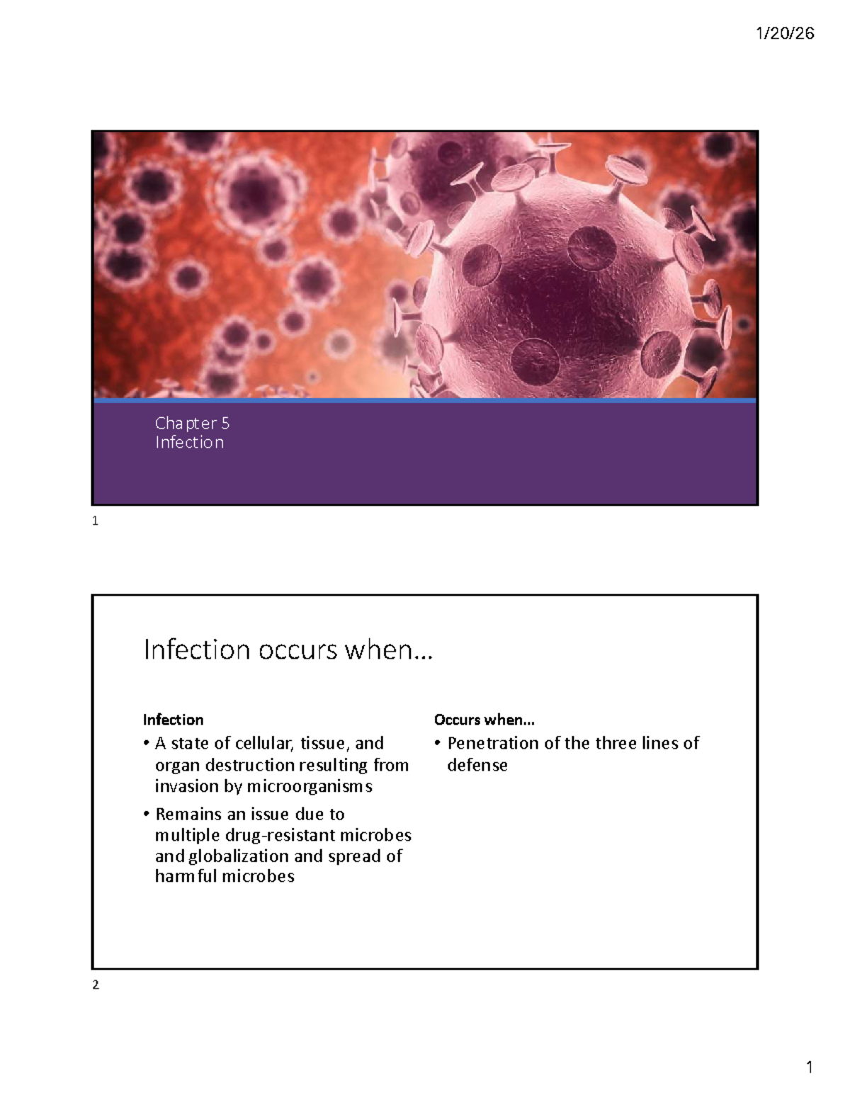 Chapter 5: Infection Overview and Pathogens - Studocu