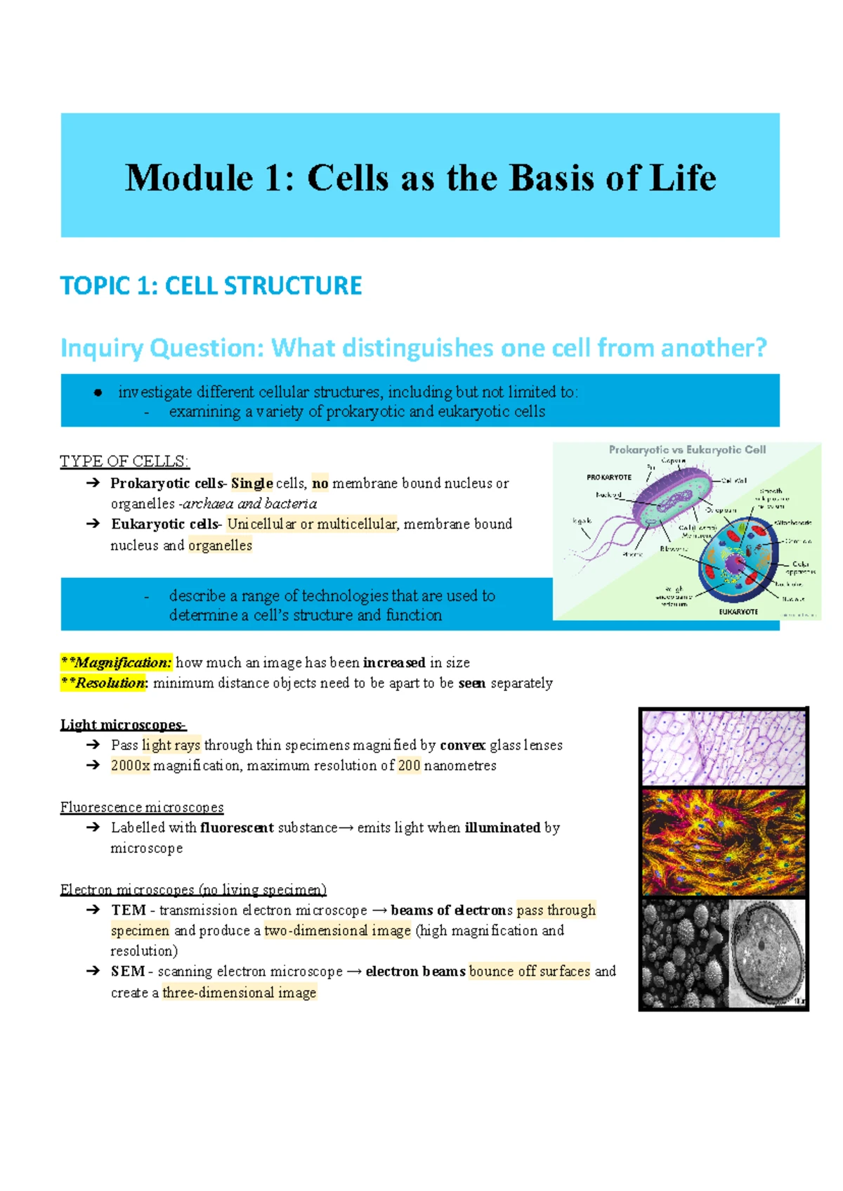 Biology Notes: Cell Structure & Function (BIO101) - Studocu