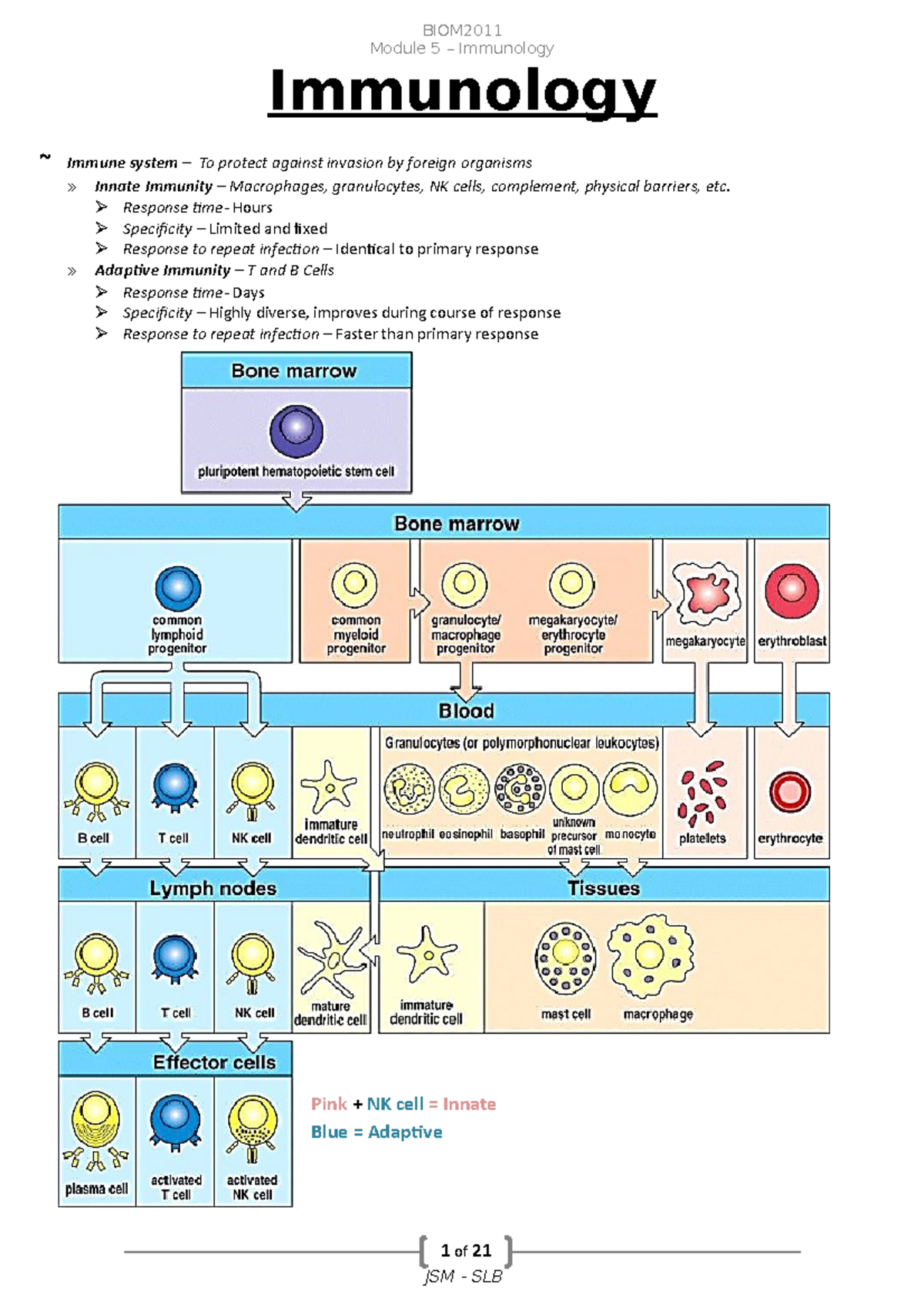 BIOM2011 Module 5 Immunology: Overview of Innate and Adaptive Immunity ...