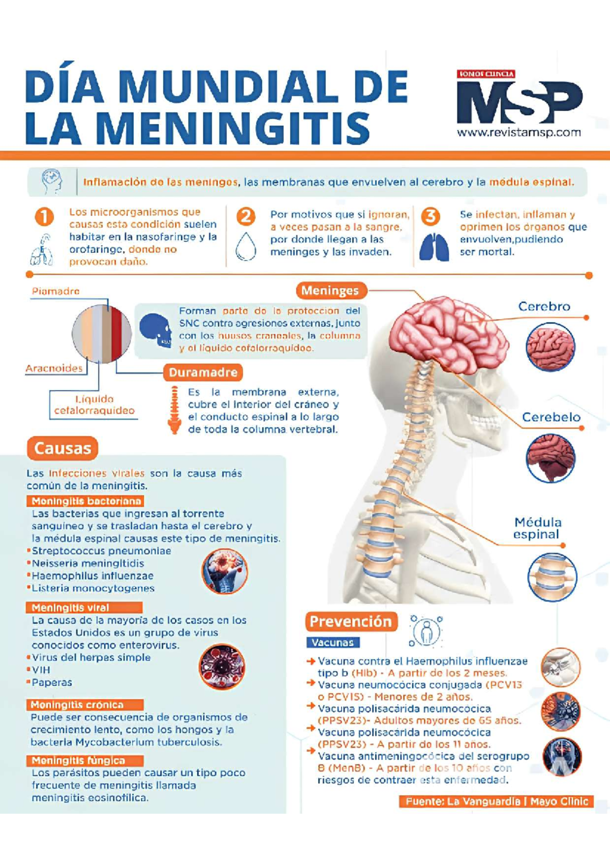 Título: DÍA MUNDIAL DE LA MENINGITIS: Causas, Prevención y Tratamientos - Document Preview