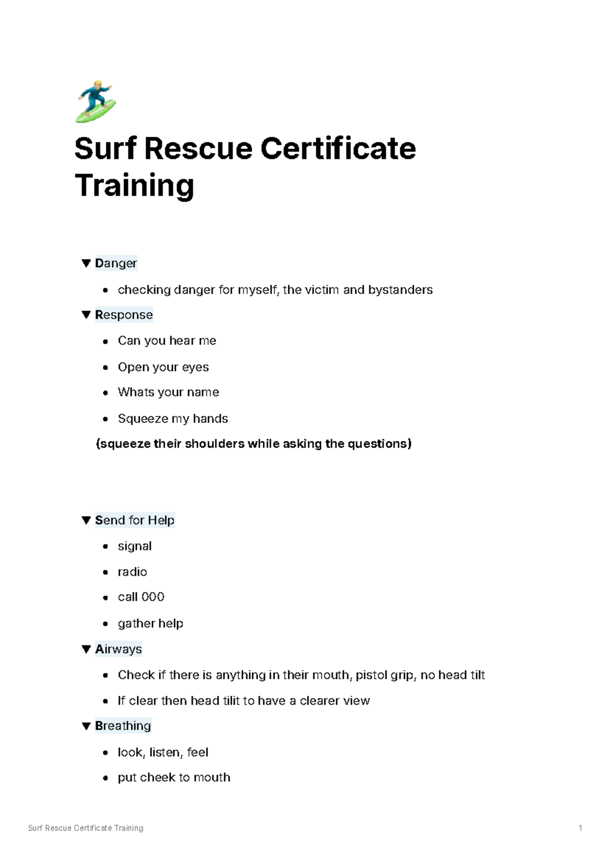 Surf Rescue Certificate Training: Emergency Response Protocols and CPR ...