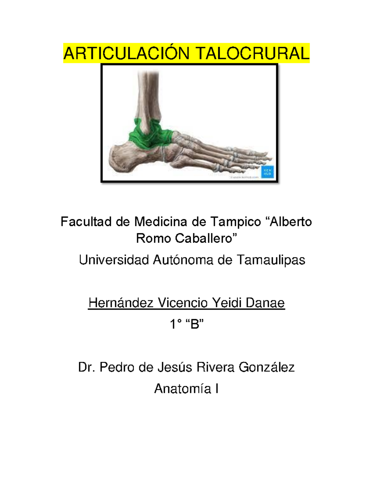 Estudio de la Articulación Talocrural en Anatomía I (MED101) - Studocu