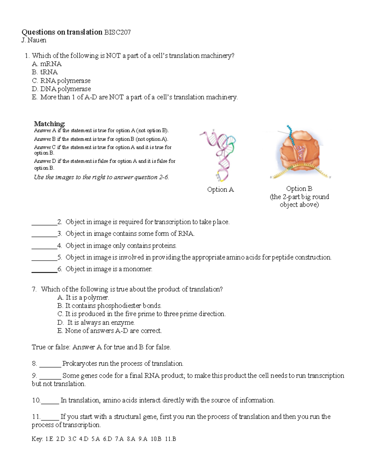 BISC207 Translation Practice Questions and Answers - Studocu