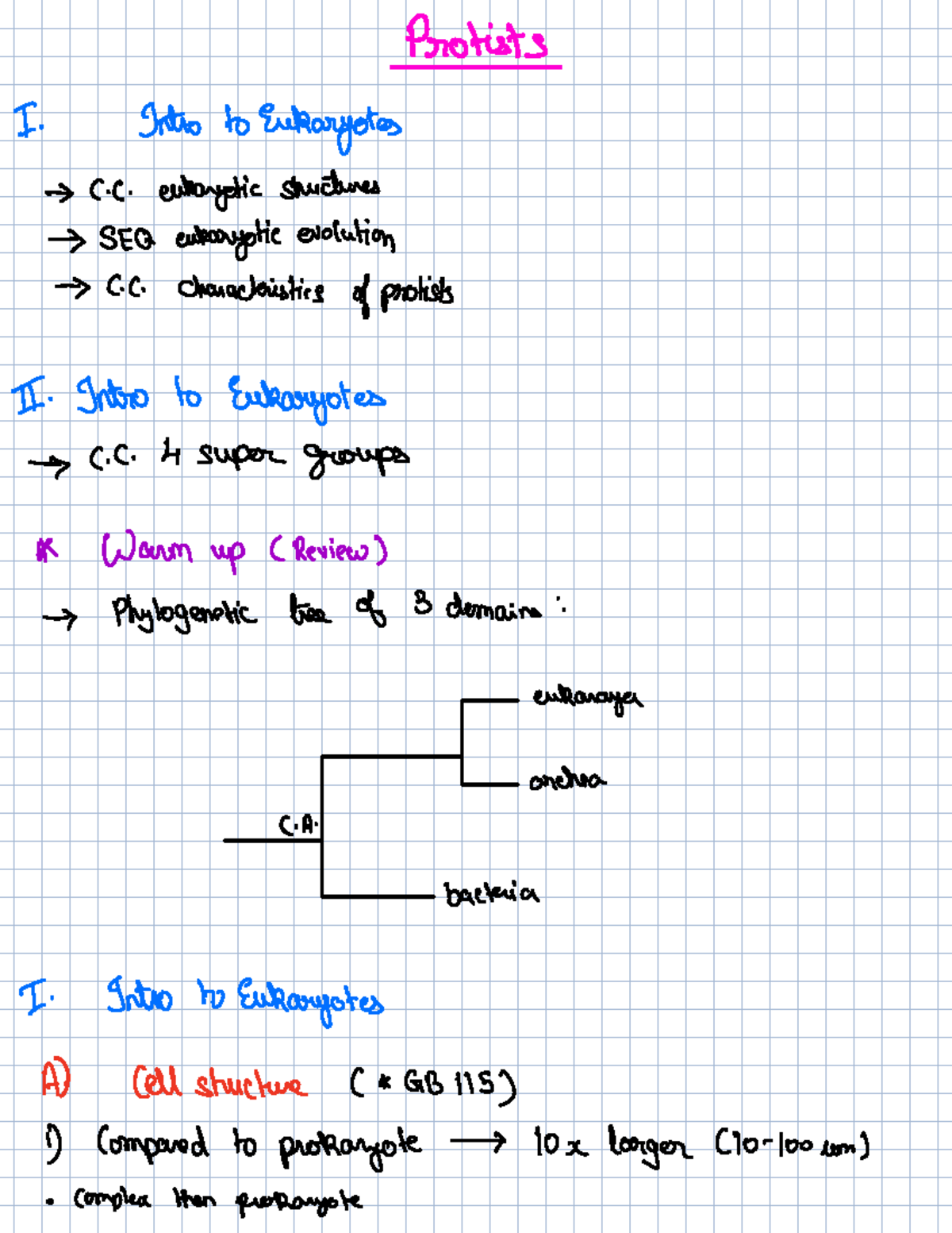 Lecture 3 (Protists) - Protists I Intro to Eukaryotes CC eukaryotic ...