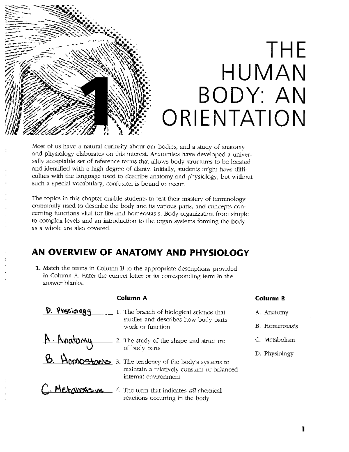 Human Anatomy & Physiology Coloring Workbook - Chapter 1 Overview - Studocu