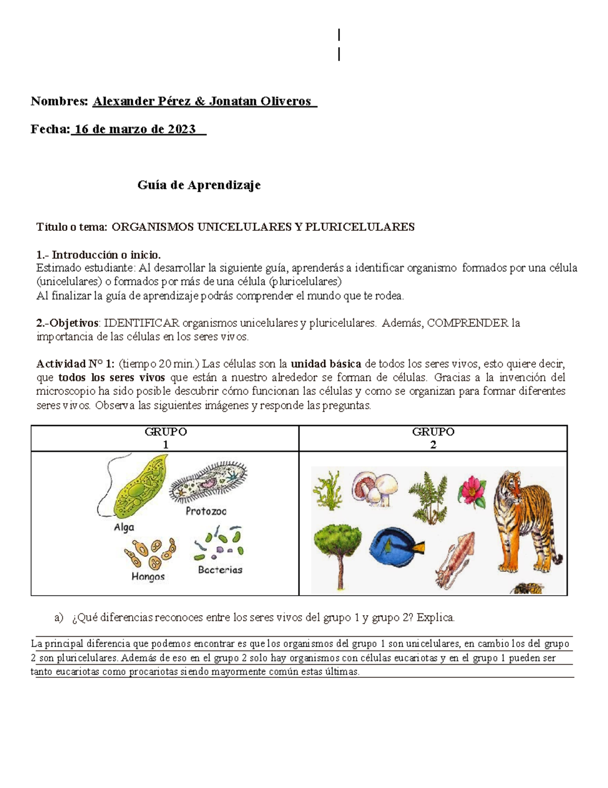 Guía de Aprendizaje: Unicelulares y Pluricelulares - Biología 101 - Studocu