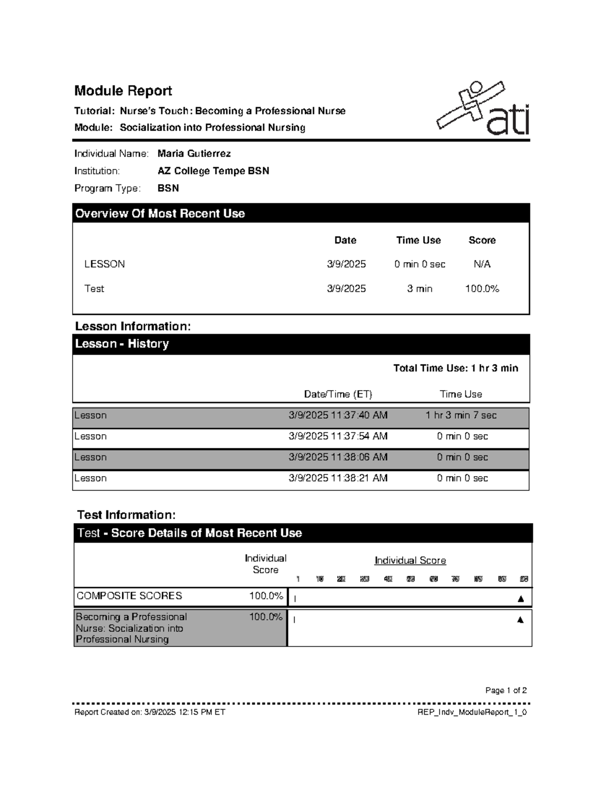 Report - Class notes for BSN module: Socialization into professional ...