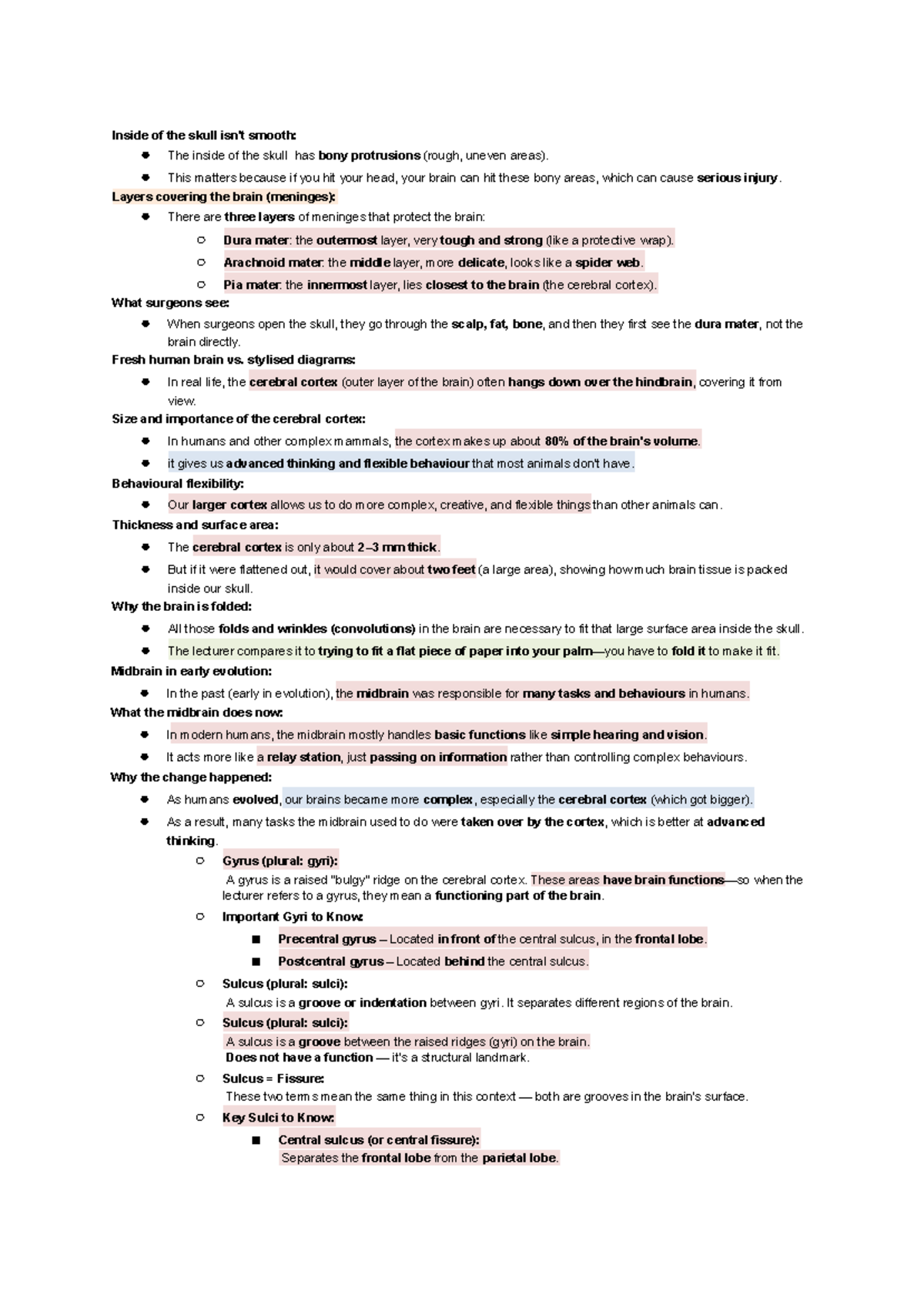 Psych 109 - Lecture 28: Anatomy & Function of the Brain - Studocu