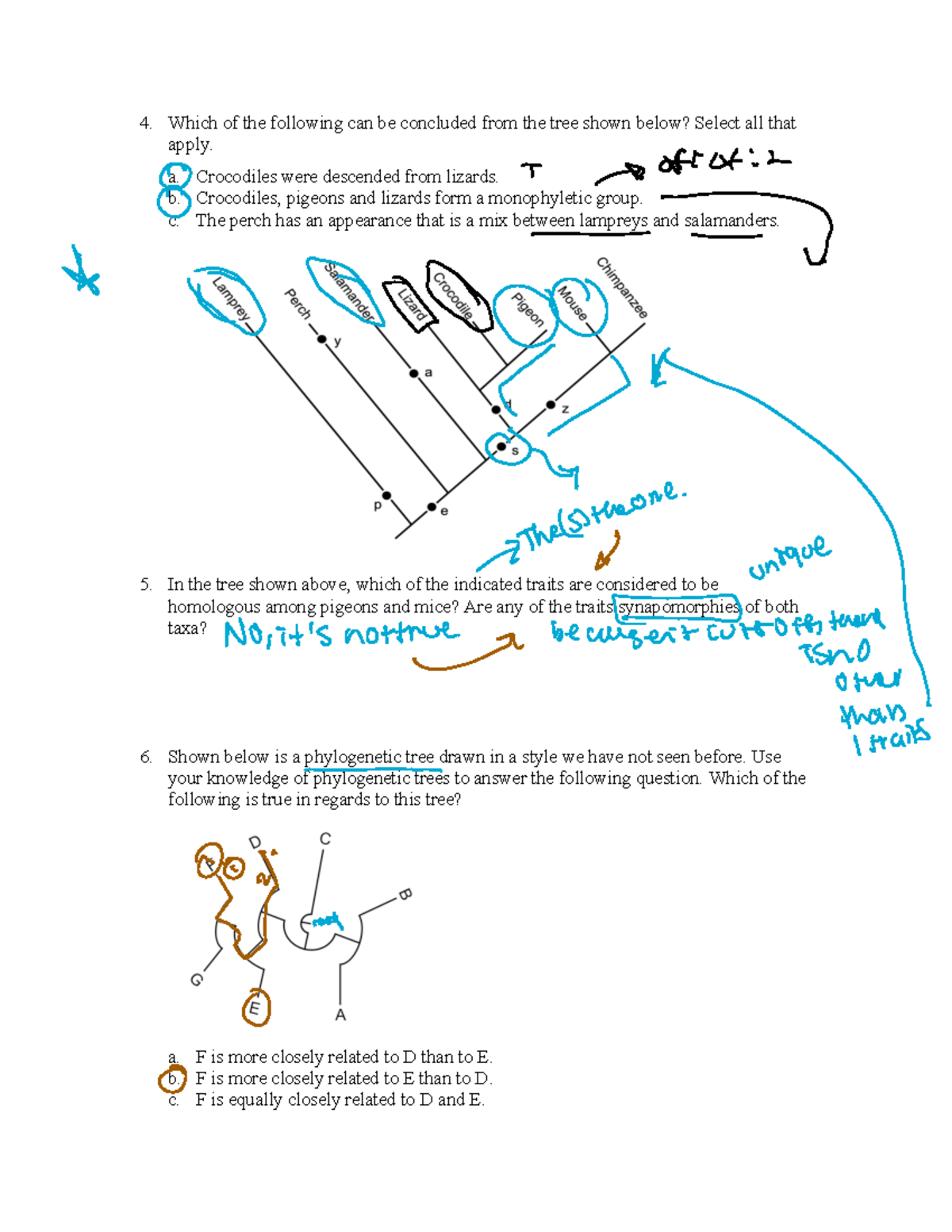 Surgical Wound Class Decision Tree Classification Of Surgical Wounds