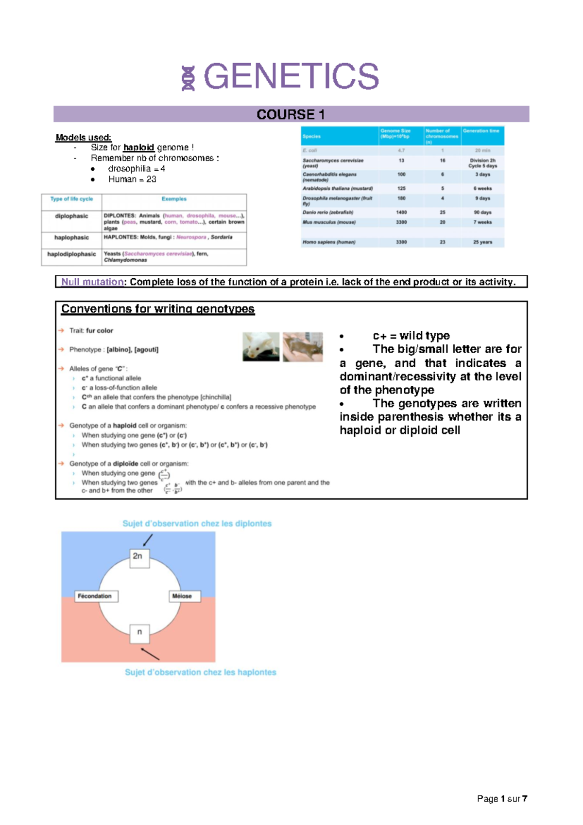 GENETICS COURSE 1: Key Concepts and Mutations Overview S4 - Studocu