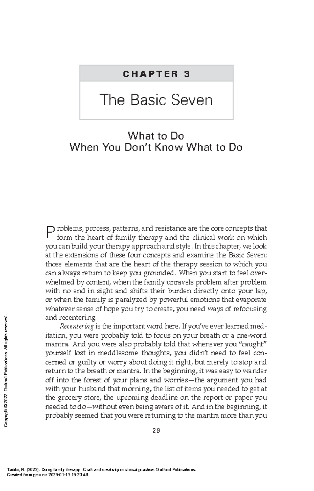 Doing Family Therapy: The Basic Seven Skills for Effective Practice ...