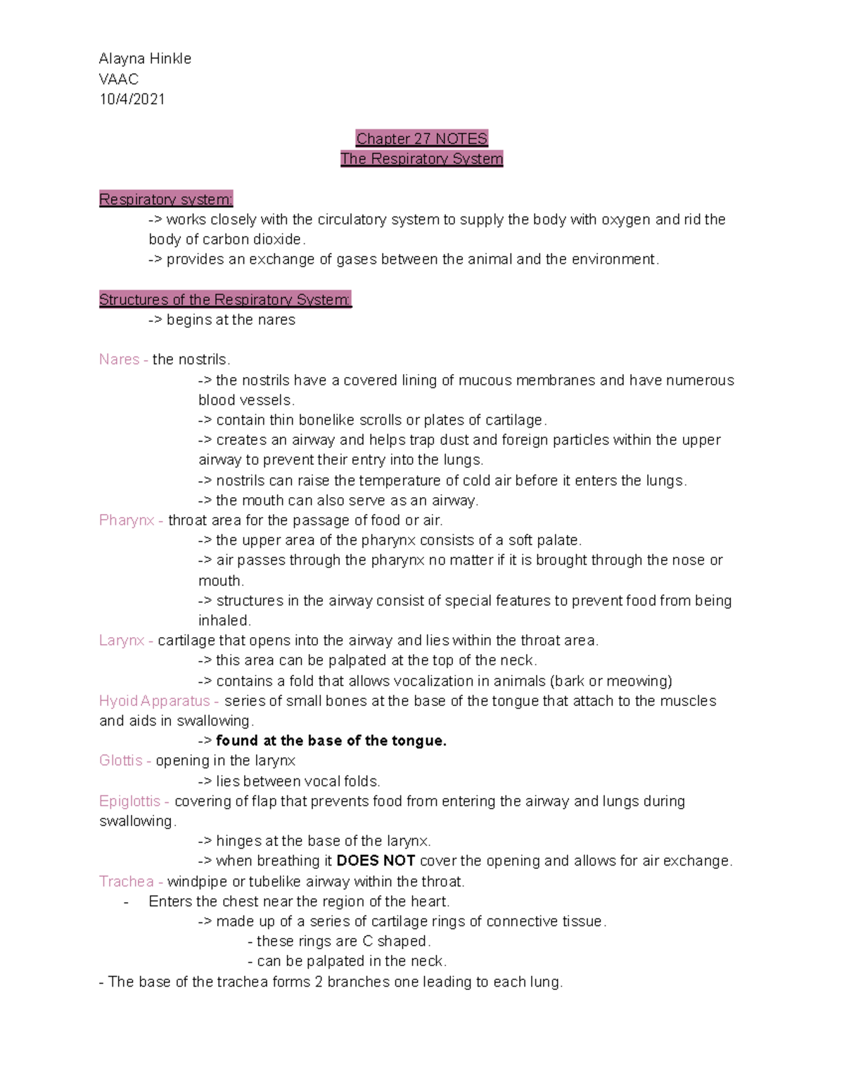 Chapter 27 Notes: The Respiratory System Overview and Key Concepts ...