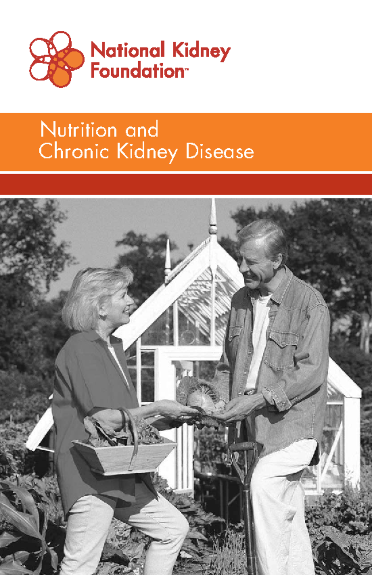 Nutrition Guidelines for Chronic Kidney Disease (CKD) - NKF - Studocu