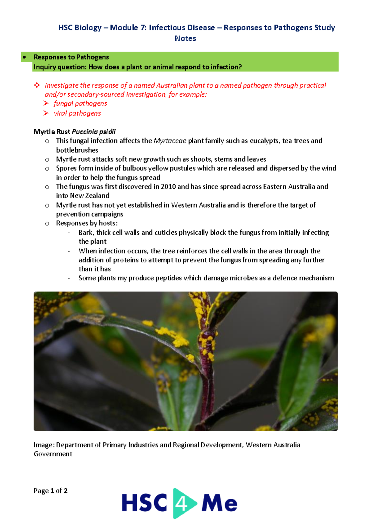 HSC Biology Module 7: Study on Responses to Pathogens in Plants - Studocu
