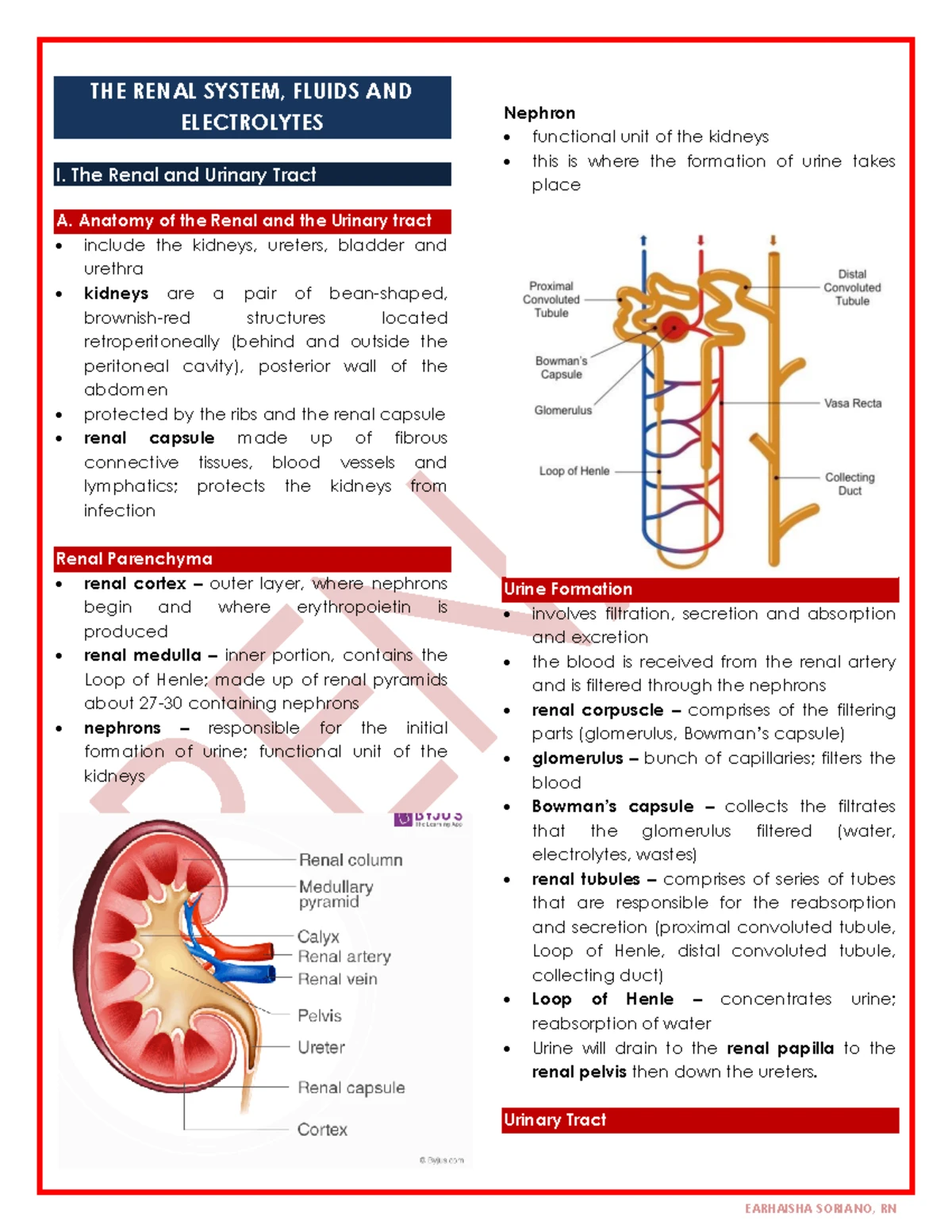 MS Renal 1 Final Exam Handout: The Renal System Overview - Studocu