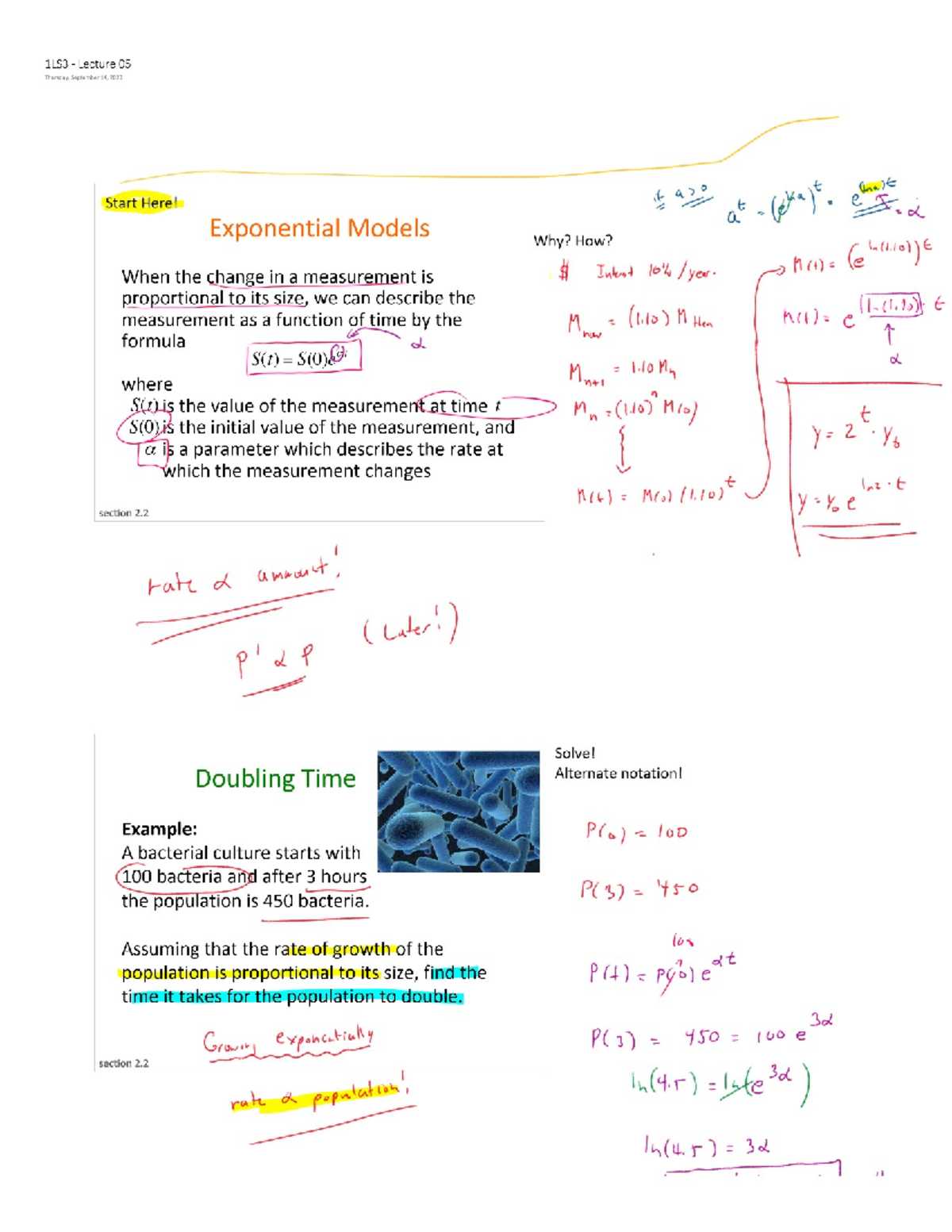 1L53 Lecture 05 - Exponential Models and Drug Effects - Studocu