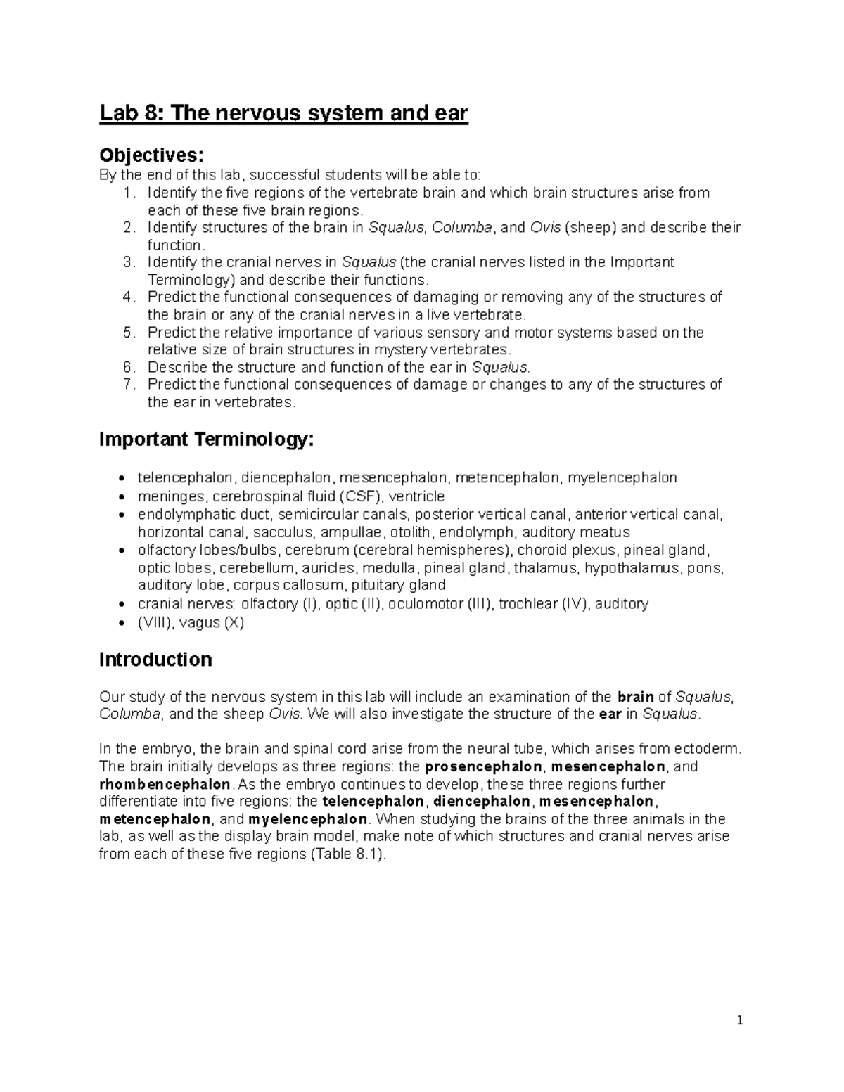 BIOL 204 W2025 Lab 8: Nervous System & Ear Dissection Guide - Studocu