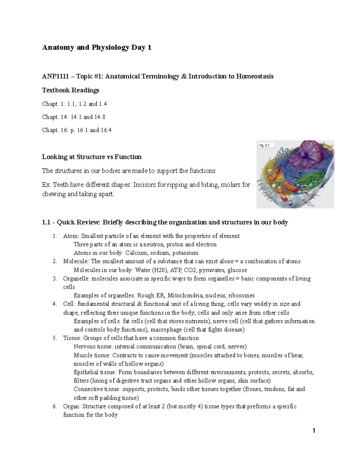 Anatomy and Physiology Overview: ANP1111 Day 1 & 2 Lecture Notes - Studocu