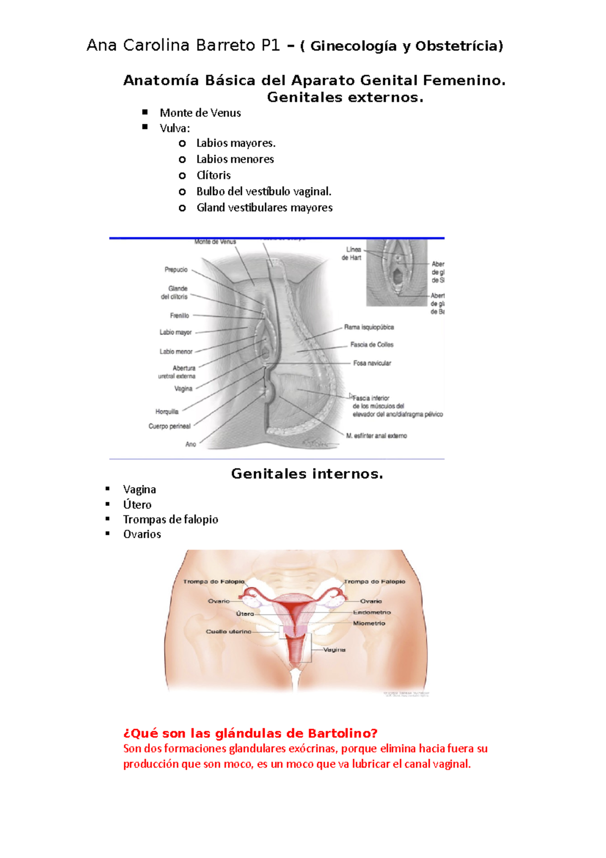 Anatomía Básica del Aparato Genital Femenino: Estructuras Clave y Funciones  - Studocu, image size:1200x1698