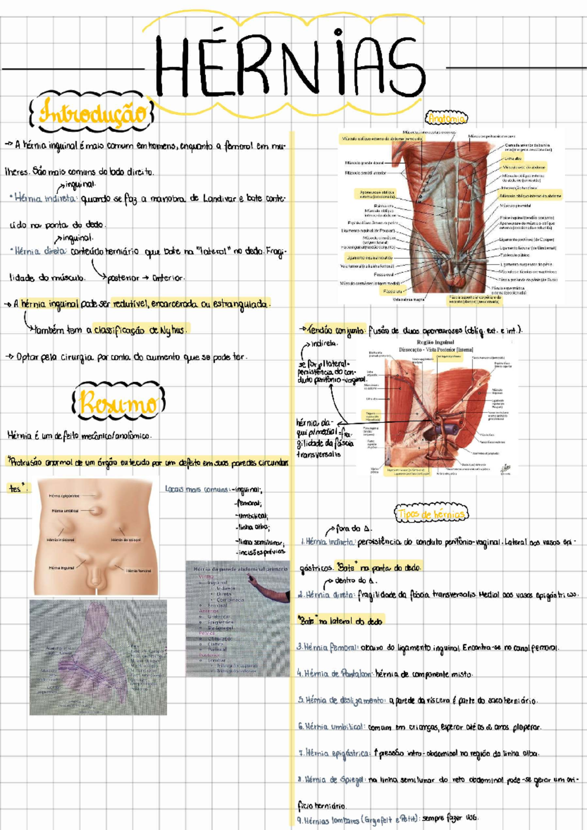 Hérnias da Parede Abdominal: Anatomia e Classificação - Studocu