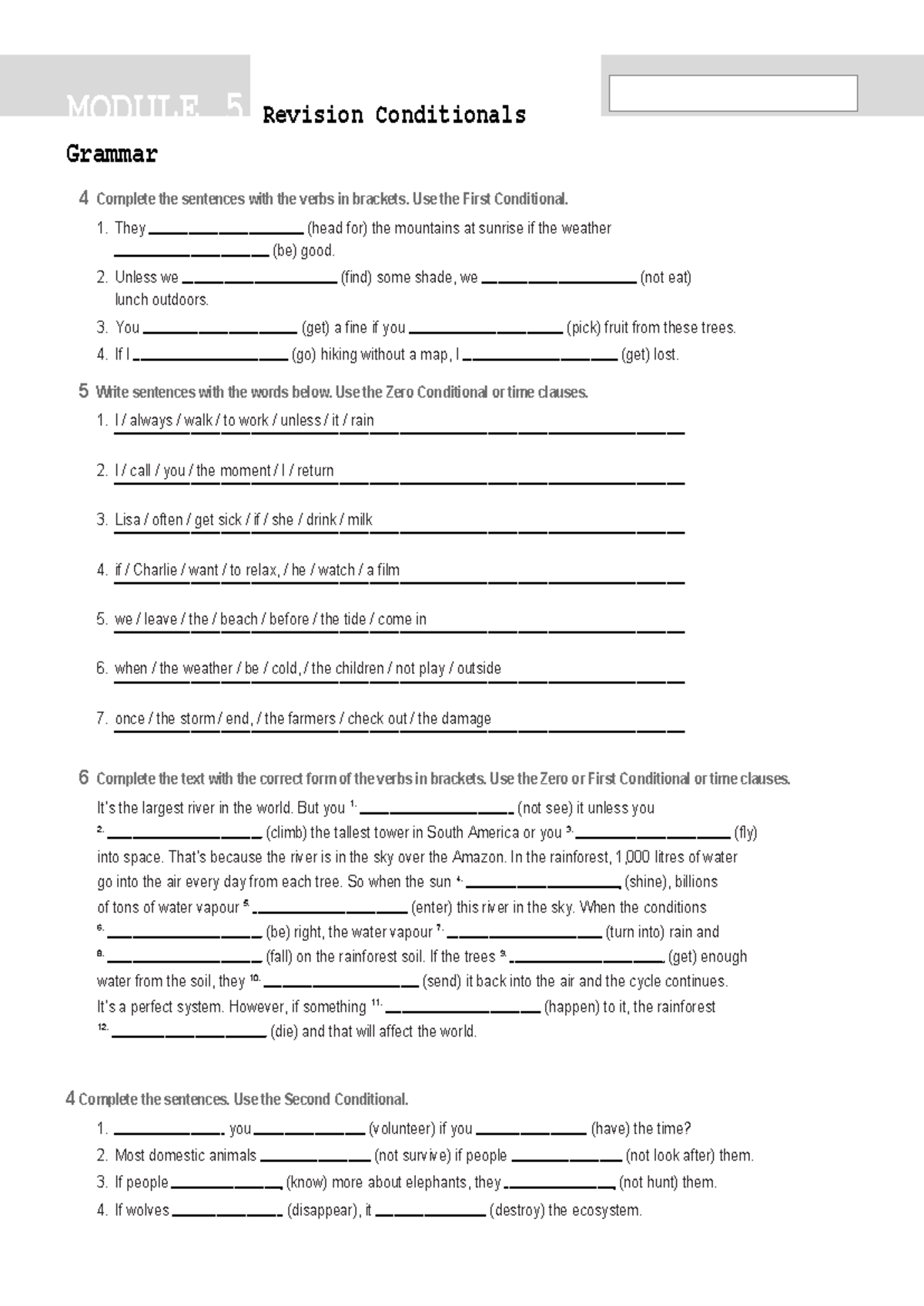 Conditionals Revision: Grammar 4 Module 5 Study Guide - Studocu