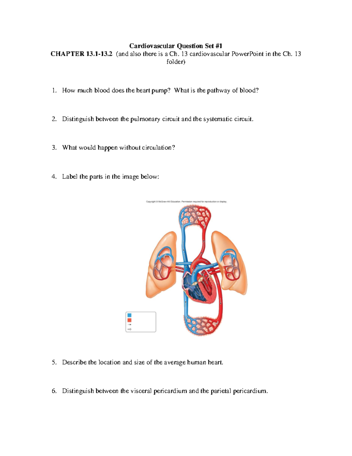 Cardiovascular Question Set CH. 13: Key Concepts and Functions - Studocu