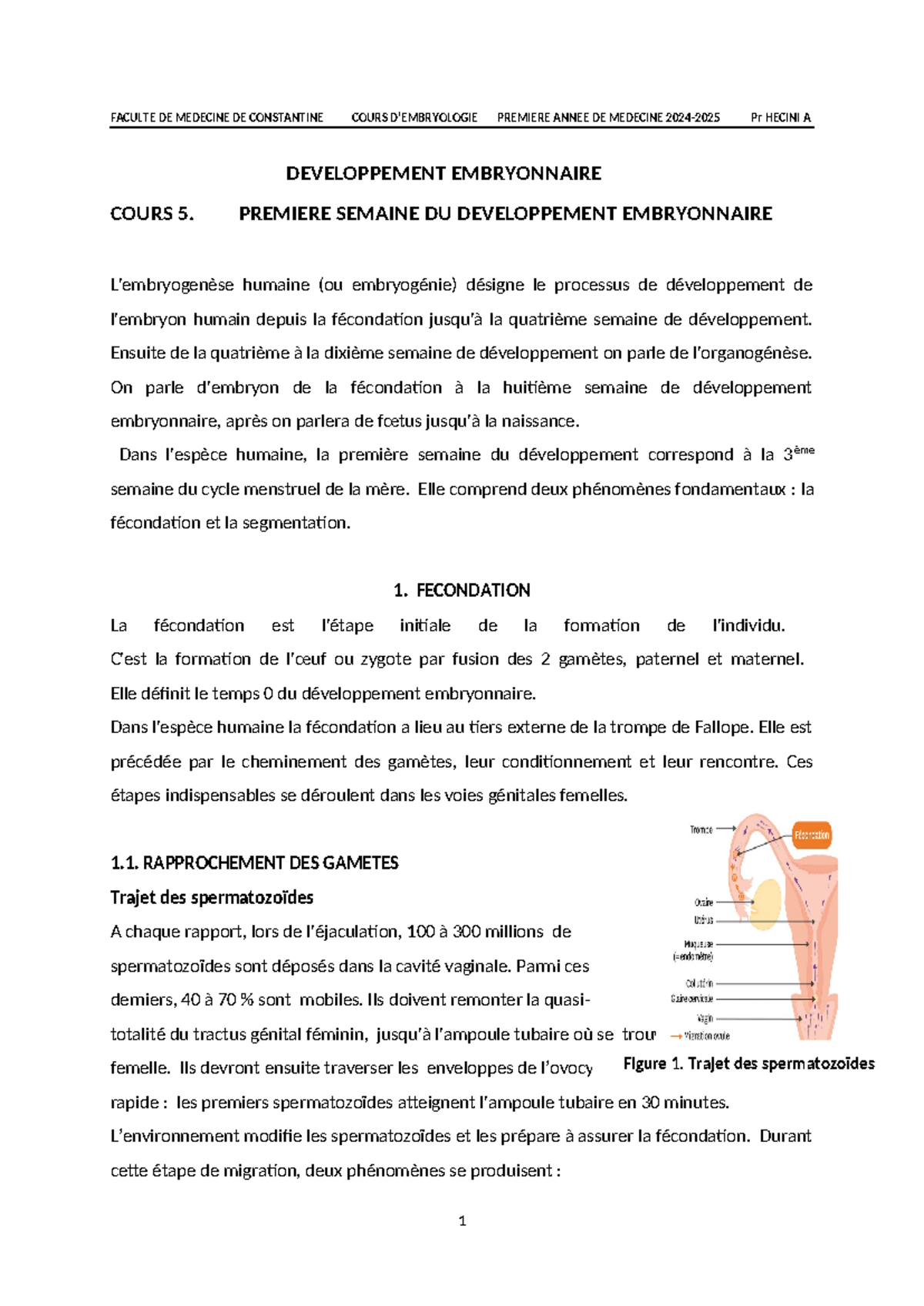 05 - Cours 1ère Année Médecine: Semaine 1 - Développement Embryonnaire ...