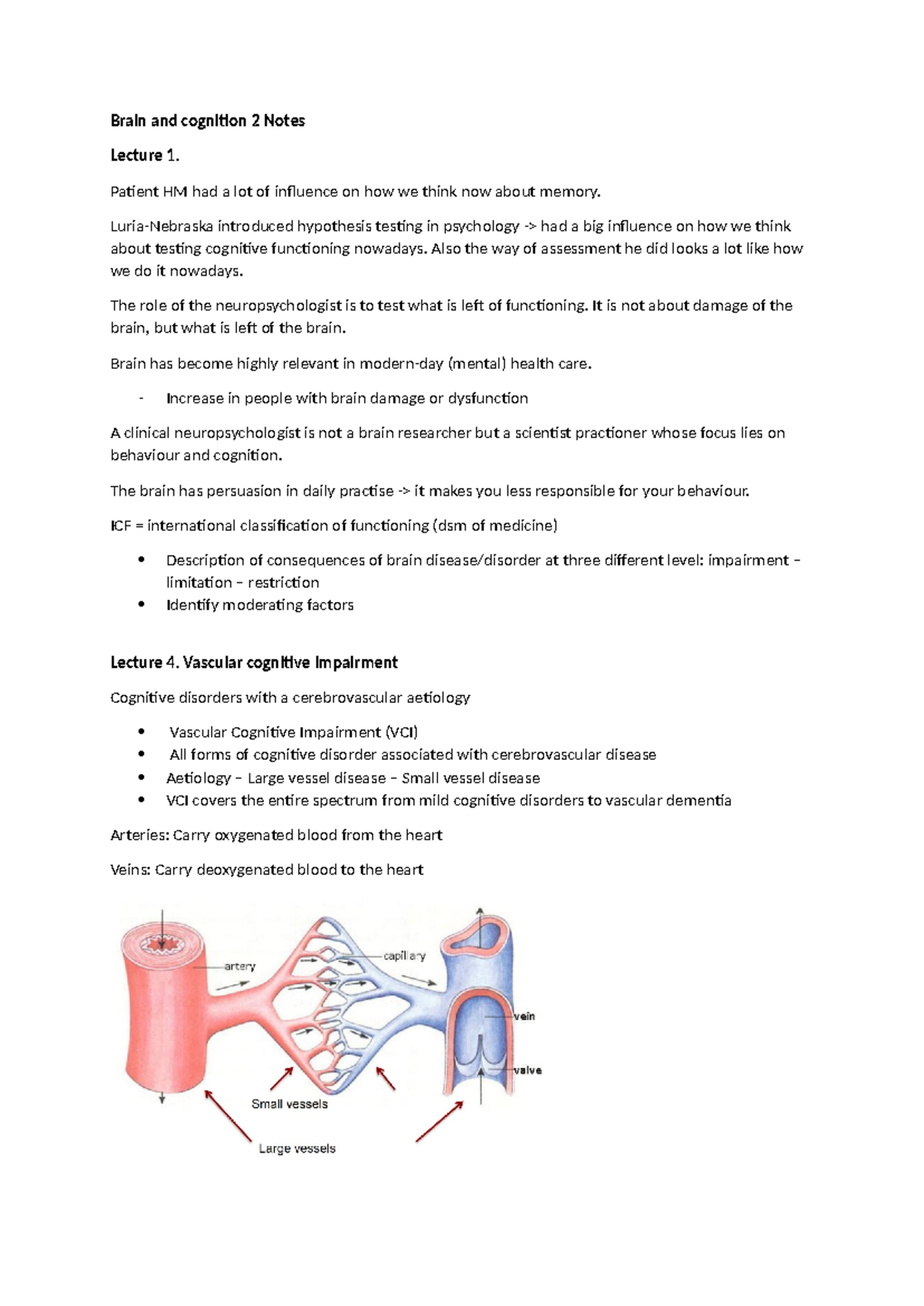 Brain & Cognition 2 Lecture Notes: Memory & Vascular Impairment ...
