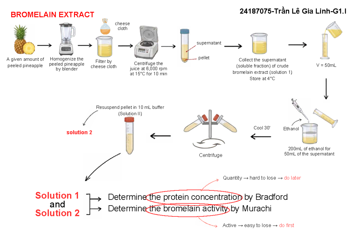 BROMELAIN EXTRACTION & ACTIVITY ASSAY: Flowchart 4 - Studocu