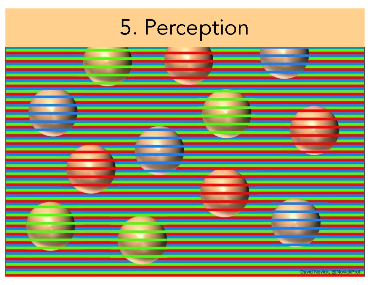 Sensation and Perception (PSY101): Exploring Visual Recognition and ...