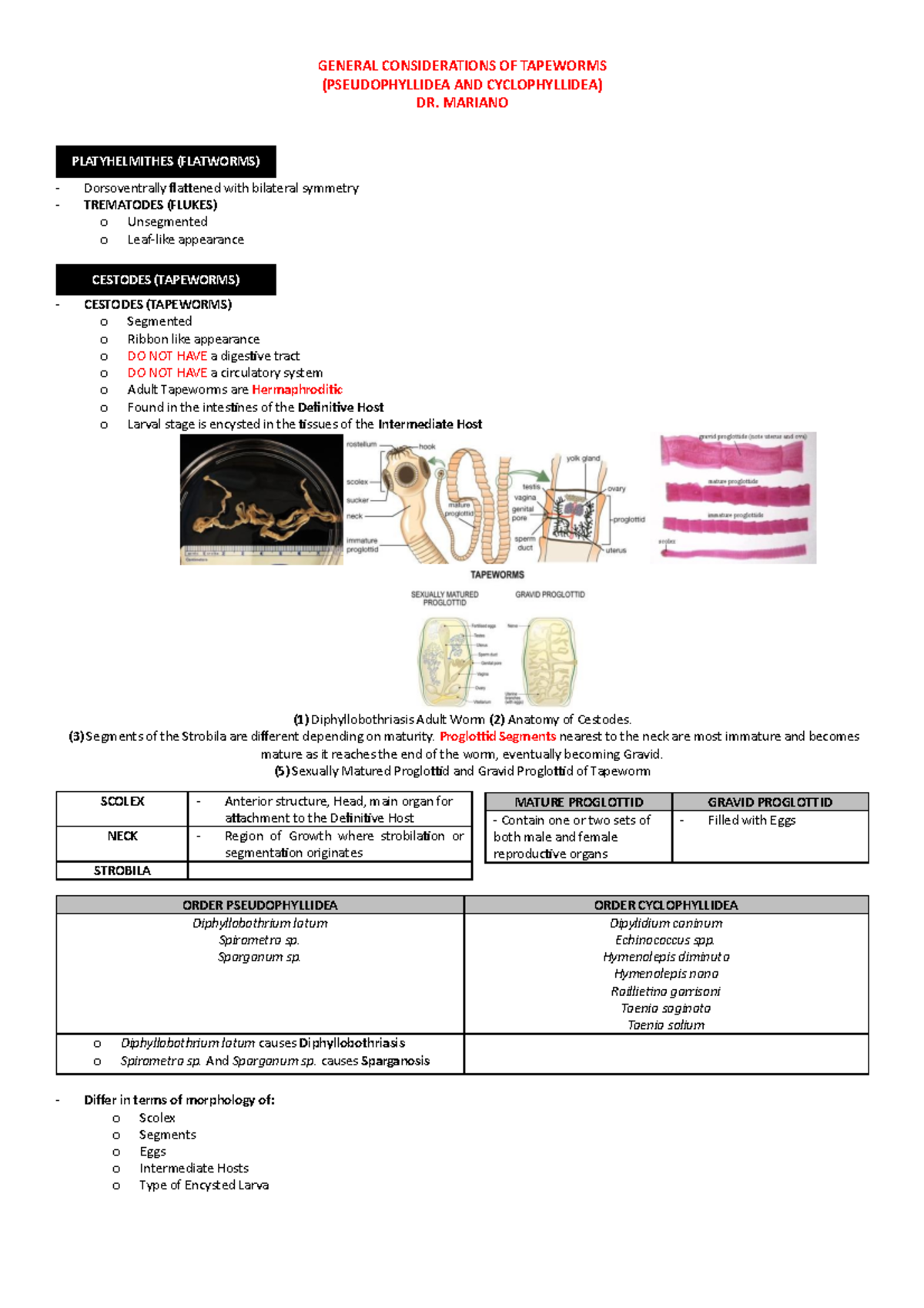 Parasit-QUIZ-2 - Tapeworms - GENERAL CONSIDERATIONS OF TAPEWORMS ...