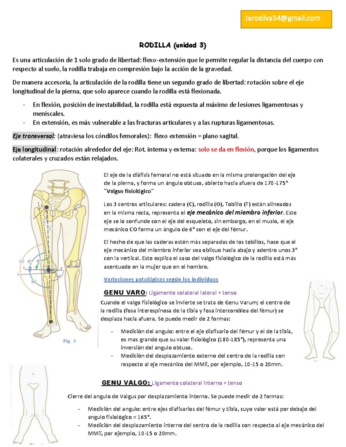 Examen Final BIO 101: Preguntas sobre Palancas y Contracciones ...