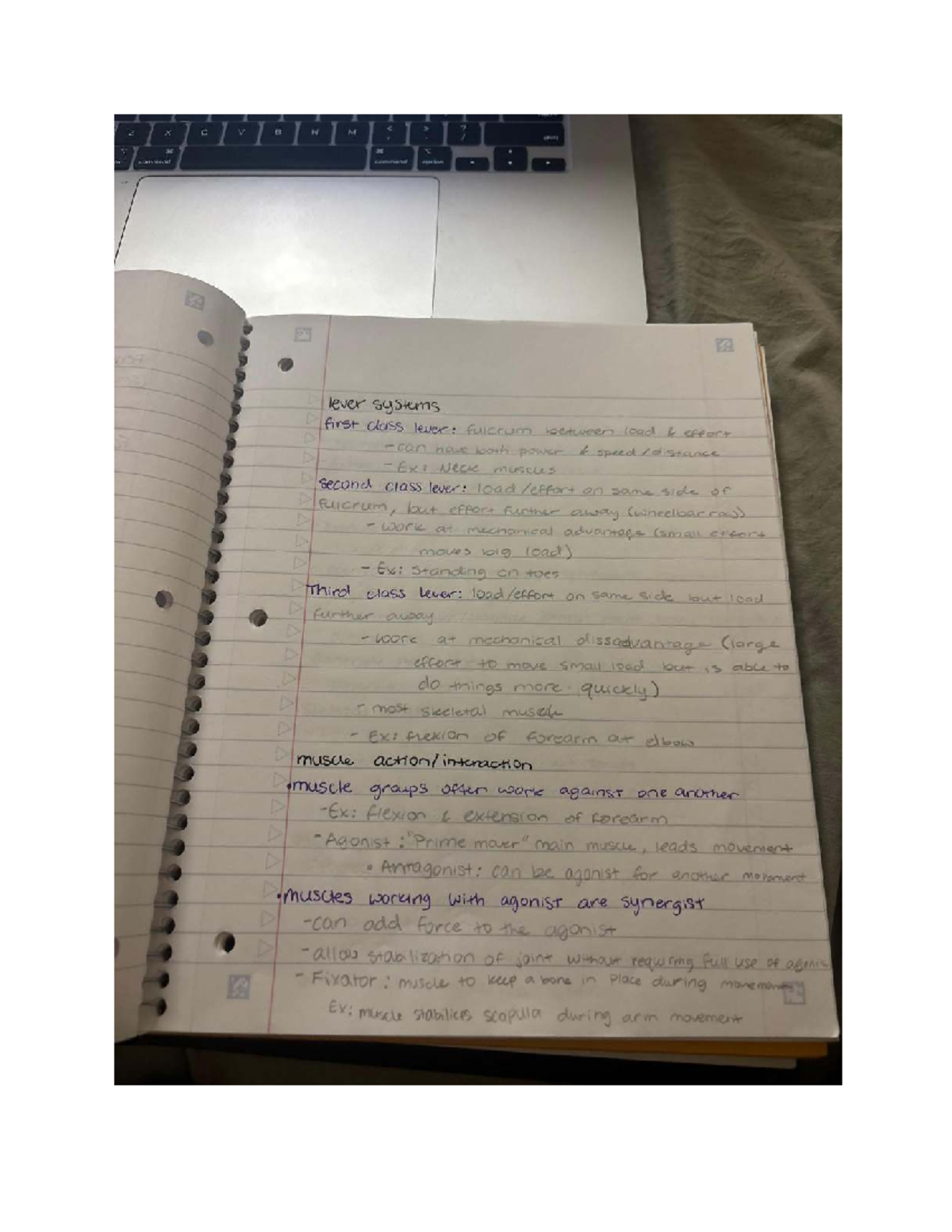 Anatomy Exam 1 Notes: Key Concepts & Study Guide (ANAT 101) - Studocu