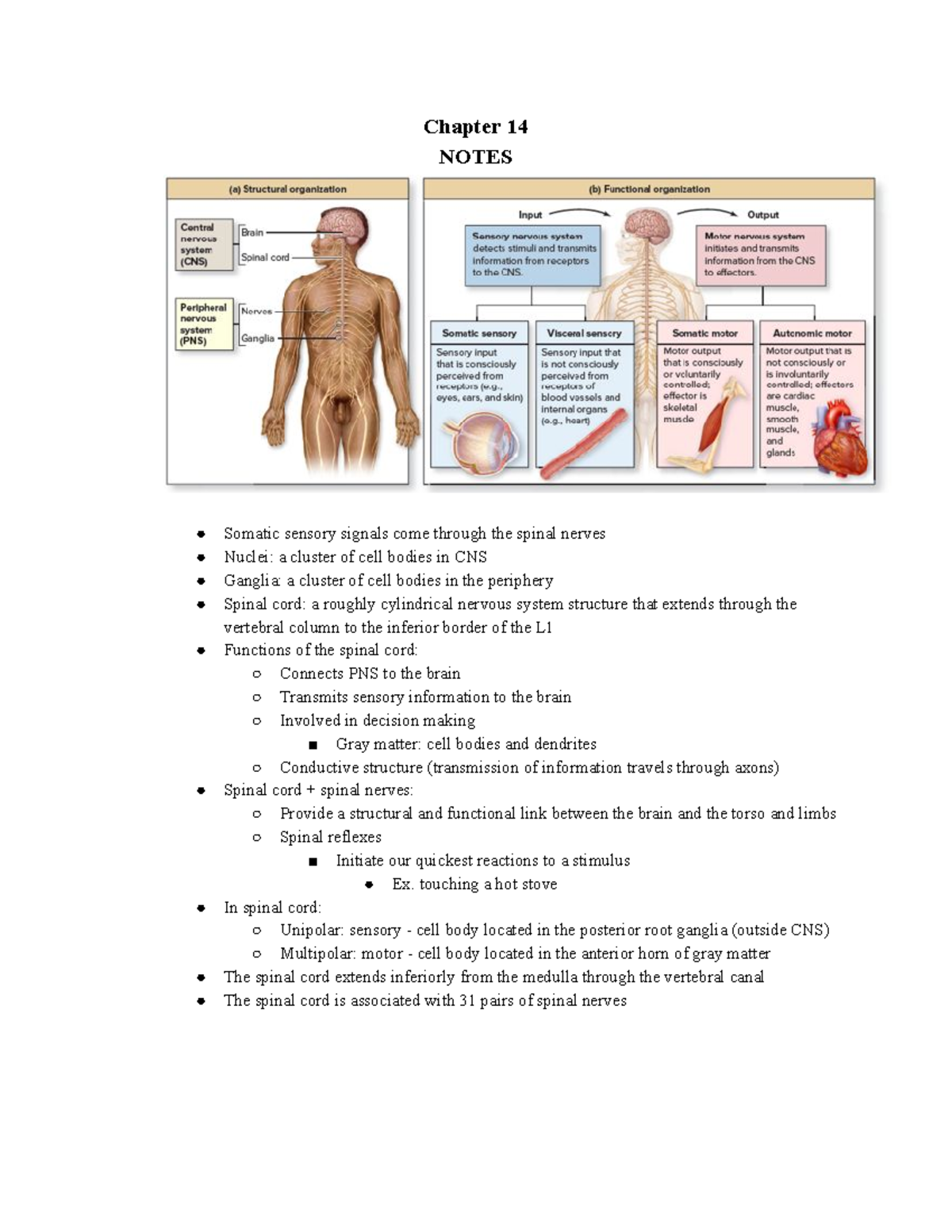 Chapter 14 - Lecture notes for Dr. Kirifides PowerPoint presentations ...